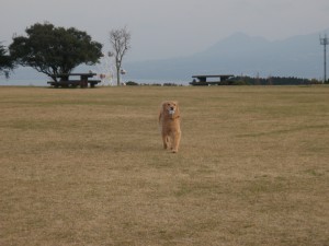 盛り土じゃないでしゅよー