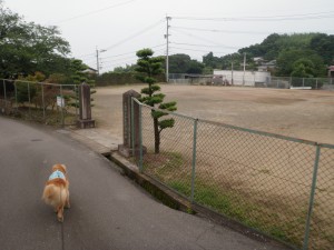 村のグラウンド