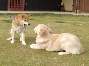 返せってばーーー！！！