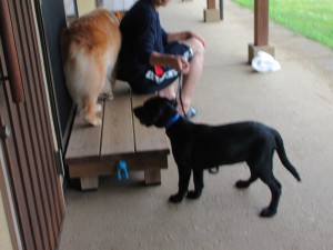 IMG_1547