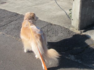 IMG_1651