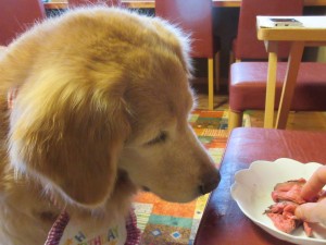 IMG_0280