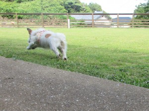 IMG_7059