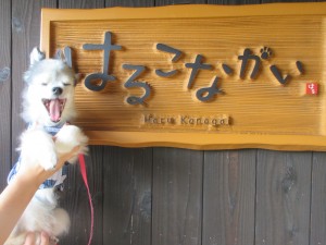 IMG_7310