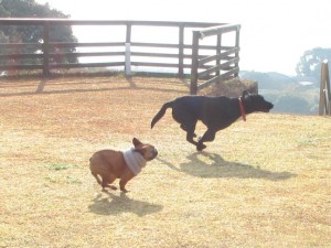 IMG_9656