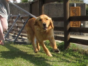 IMG_0725