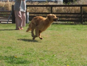 IMG_0784