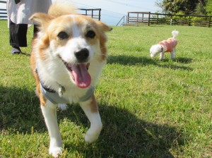 IMG_0885