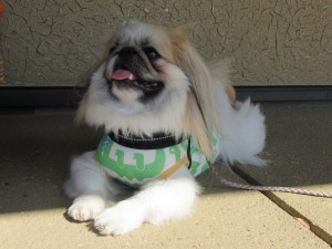 IMG_1030