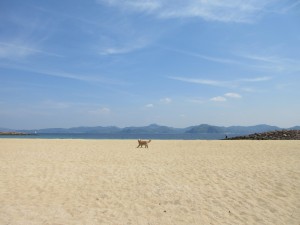 IMG_1154
