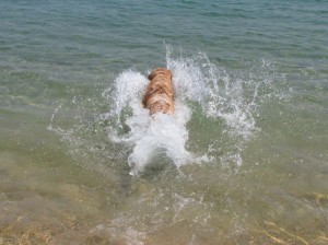 IMG_1191