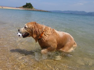 IMG_1205