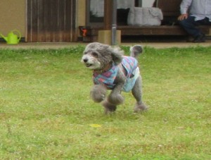 IMG_1304