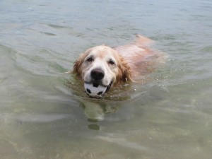 IMG_1479