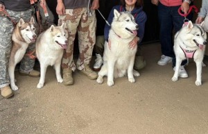 IMG_20251103_203542_053